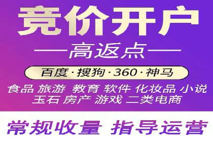 竞价推广实战：案例分析行业领军企业的成功之道